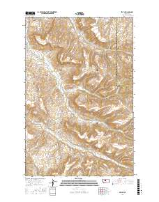 Belt NE 2017 topographic map thumbnail