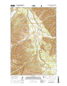 Big Salmon Lake East 2017 topographic map thumbnail