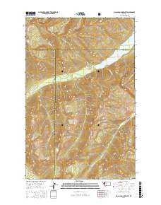 Big Salmon Lake West 2017 topographic map thumbnail