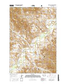 Birney Day School 2017 topographic map thumbnail