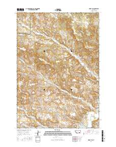 Birney SW 2017 topographic map thumbnail