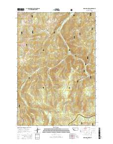 Bison Mountain 2017 topographic map thumbnail