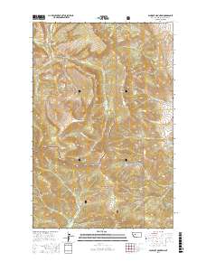 Blowout Mountain 2017 topographic map thumbnail