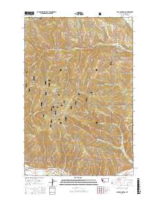 Blue Mountain 2017 topographic map thumbnail