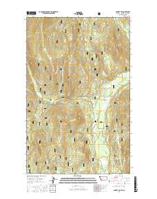 Bonnet Top 2017 topographic map thumbnail
