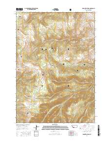 Broomtail Ridge 2017 topographic map thumbnail