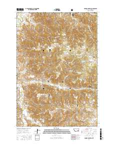 Browns Mountain 2017 topographic map thumbnail