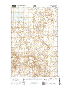 Buffalo Lake 2017 topographic map thumbnail