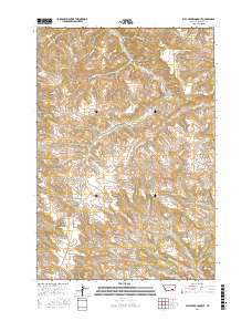 Bull Creek Lookout 2017 topographic map thumbnail