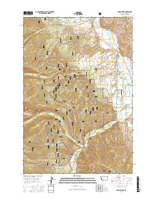 Burnt Ridge 2017 topographic map thumbnail