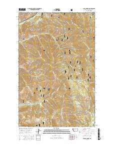 Calx Mountain 2017 topographic map thumbnail