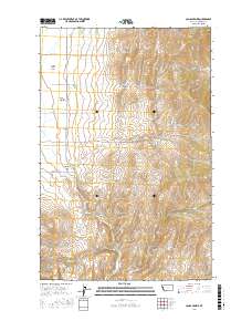 Camas Prairie 2017 topographic map thumbnail
