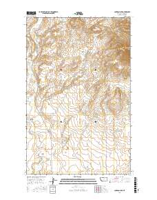 Cameron Lake 2017 topographic map thumbnail