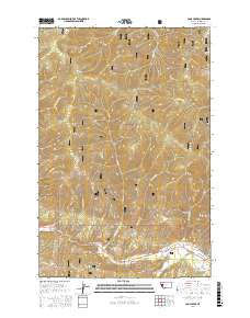 Camp Creek 2017 topographic map thumbnail