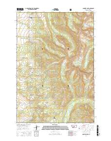 Campfire Lake 2017 topographic map thumbnail
