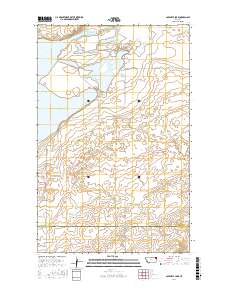 Capeneys Lake 2017 topographic map thumbnail