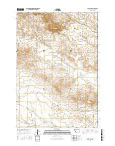 Capitol NW 2017 topographic map thumbnail