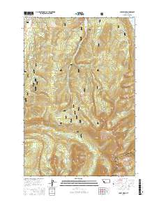 Carpp Ridge 2017 topographic map thumbnail