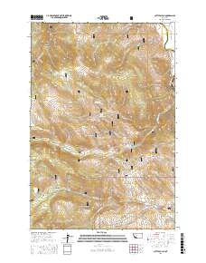 Cattle Gulch 2017 topographic map thumbnail
