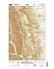 Cave Mountain 2017 topographic map thumbnail