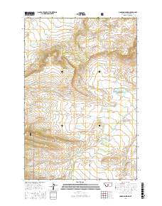 Cinnamon Spring 2017 topographic map thumbnail