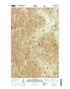 Coney Peak 2017 topographic map thumbnail