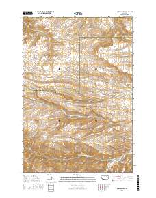 Cow Face Hill 2017 topographic map thumbnail