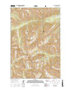 Crazy Peak 2017 topographic map thumbnail