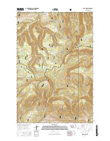 Daisy Peak 2017 topographic map thumbnail