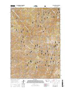 Deer Mountain 2017 topographic map thumbnail
