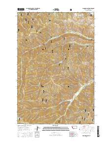 Diamond Point 2017 topographic map thumbnail