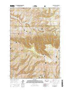 Indian Spring 2017 topographic map thumbnail