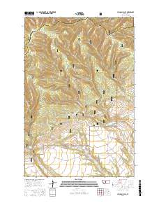 Jellison Place 2017 topographic map thumbnail