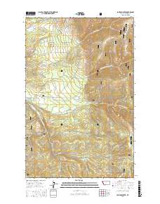 Loneman Creek 2017 topographic map thumbnail