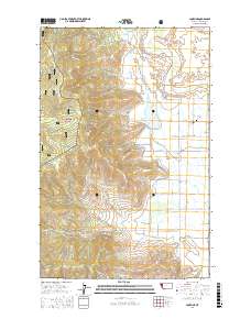 Lonepine 2017 topographic map thumbnail