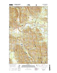 Loon Lake 2017 topographic map thumbnail