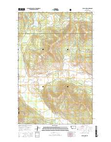 Lynch Lake 2017 topographic map thumbnail
