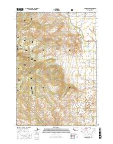Leonard Creek 2017 topographic map thumbnail