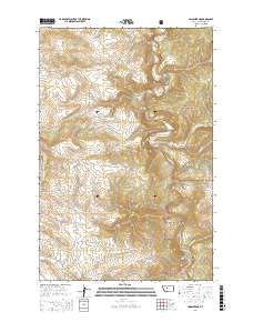 Lingshire NE 2017 topographic map thumbnail