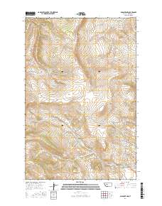 Lingshire NW 2017 topographic map thumbnail
