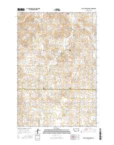 Little Whitney Creek 2017 topographic map thumbnail