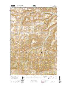 Loco Ridge 2017 topographic map thumbnail