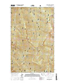 McGuire Mountain 2017 topographic map thumbnail