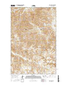 McRae Springs 2017 topographic map thumbnail