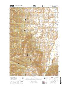 Medicine Lodge Peak 2017 topographic map thumbnail
