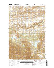 Mitten Lake 2017 topographic map thumbnail