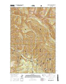 Morrell Mountain 2017 topographic map thumbnail