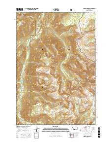 Mount Douglas 2017 topographic map thumbnail