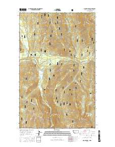 Mount Henry 2017 topographic map thumbnail