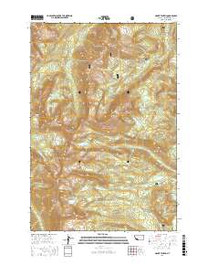 Mount Tahepia 2017 topographic map thumbnail